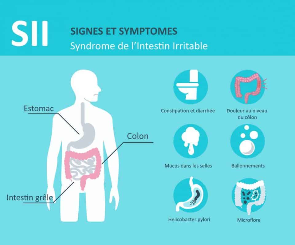 Le syndrôme de l'intestin irritable et le CBD | CBDISSIMO