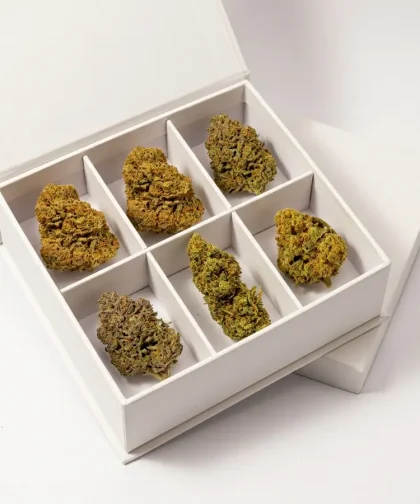 pack-fleur-cbd