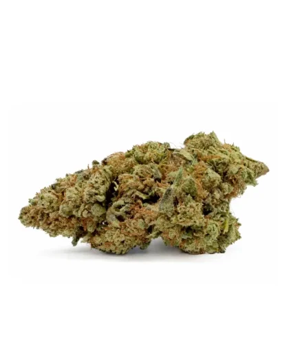 Lemon-Tree-CBD-1