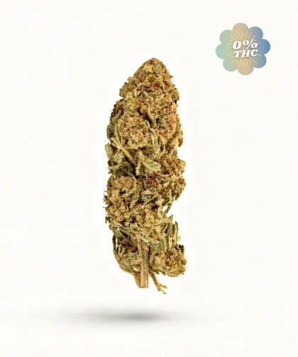 Lemon-Berry-sans-thc-CBDISSIMO