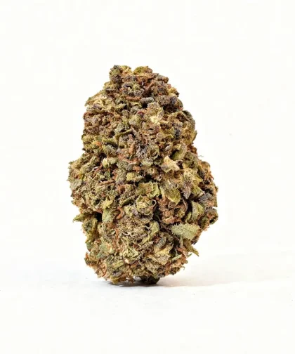 Nothern-Light-Blue-CBD-CBDISSIMO-1