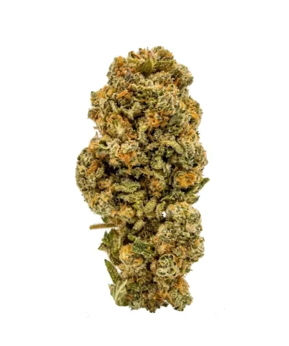 Og kush CBD