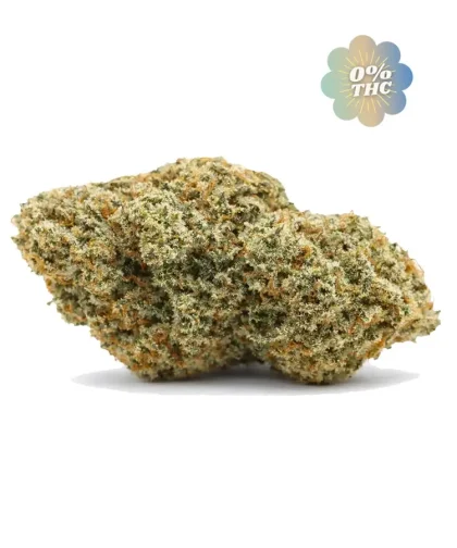 Orange-bud-0-thc-cbdissimo