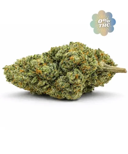 Pinneaple-express-cbd-0-thc-cbdissimo-1