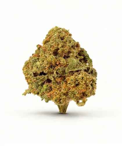 Strawberry-haze-cbd-cbdissimo