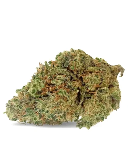 charlotte-angels-indoor-cbd-cbdissimo