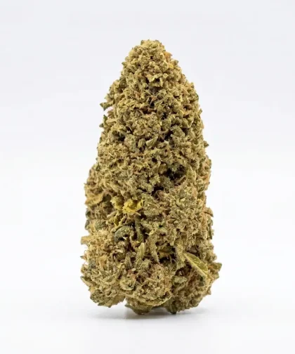 runtz-cbd-cbdissimo-bud