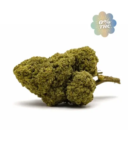 white-widow-cbd-0-thc-cbdissimo-1