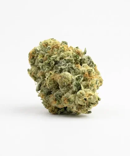 amnesia-cbd-15-sans-thc-1