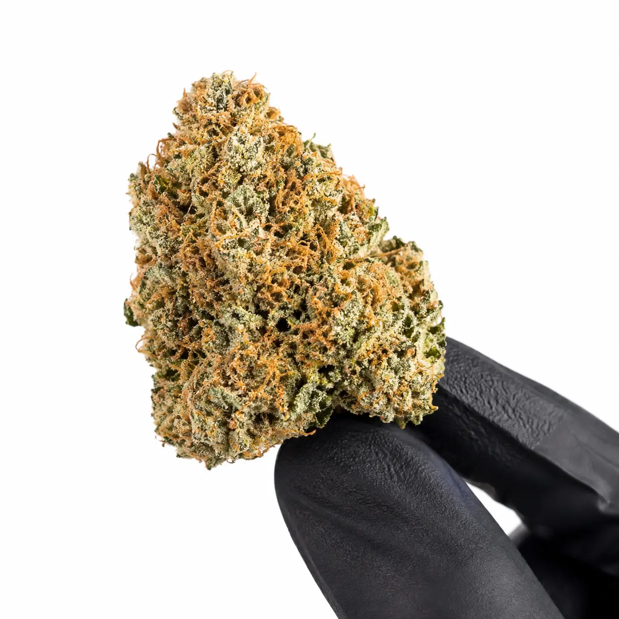 orange bud cbd sans thc produit présentation