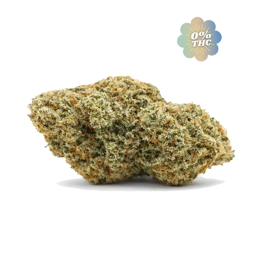 Orange-bud-0-thc-cbdissimo