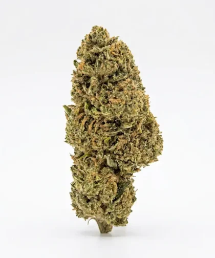 Blue-Berry-CBD-CBDISSIMO