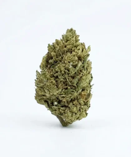 Cannatonic-CBD-CBDISSIMO