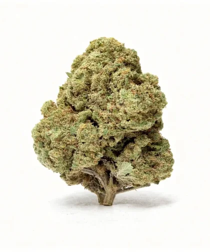 Gelato cbd