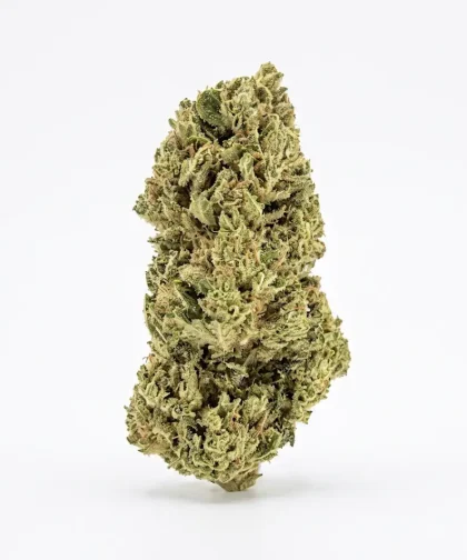 AK-47-CBD-Glasshouse-CBDISSIMO-1