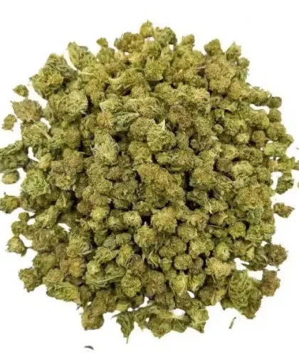 Cosmic-Cookie-CBD-GlassHouse-Cali-cbdissimo-1-1