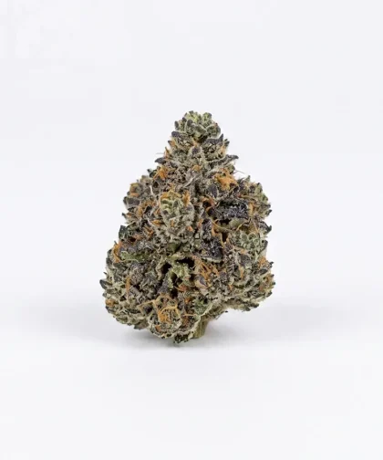 Og-kush-cbd-sans-thc-1