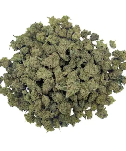 charlotte-angels-medium-bud-cbdissimo-1